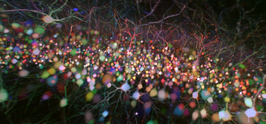 Multi-photon microscopy...and many facets