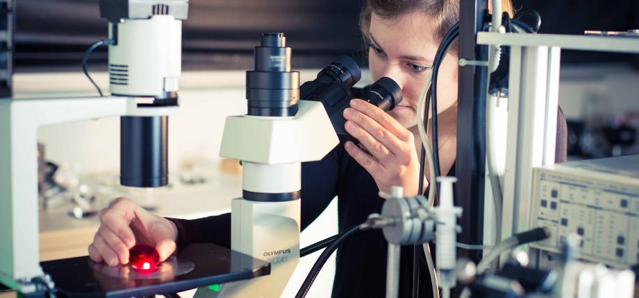 Health Engineering Program