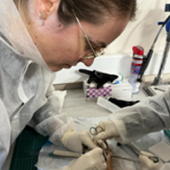 Master Year 2 in Mechanical Engineering for Clinicians (MECENCLI)